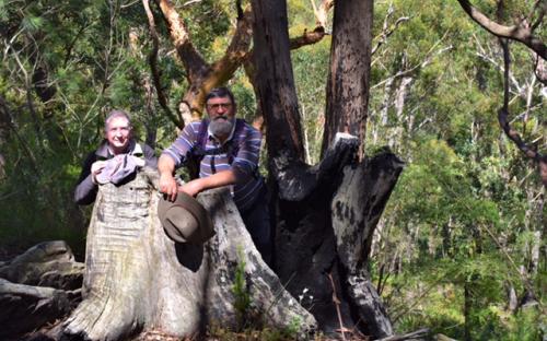 Walumarra Trek