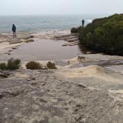 Kurnell Bushwalk